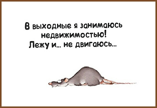 8 выходим я занимаюсь недвижимостью Лежу и не двигаюсь