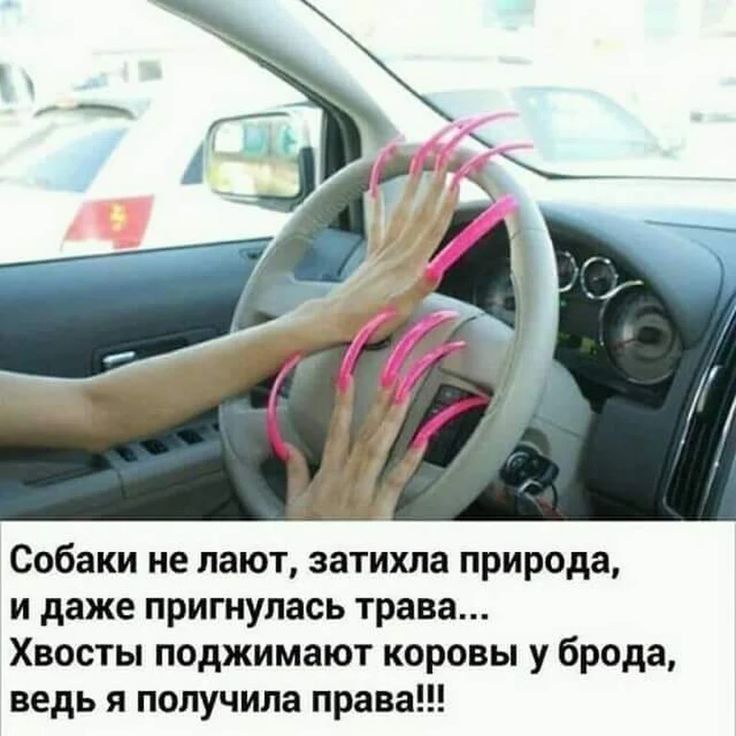 Собаки не лают затихла природа и даже пригнупась трава Хвосты поджимают коровы у брода ведь я получила права