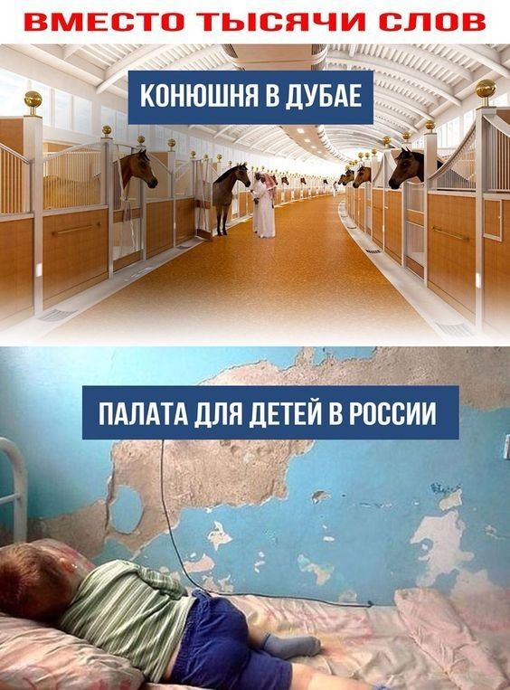 ВМЕСТО ТЬСЯЧИ СЛОВ у конюшнявдувдв к 3 И ПАЛАТА ЛПП дЕТЕЙ В РОССИИ ЁЁ