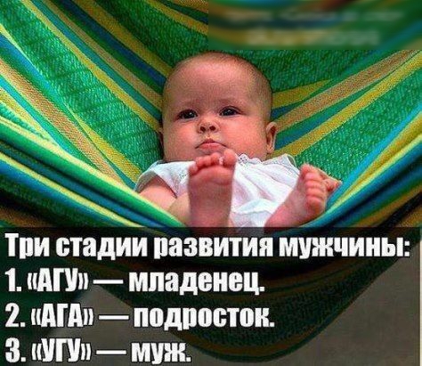 Тпи стадии пазвития мужчины 1 шт младенец 2 шип подпостпи 3 УПП муж