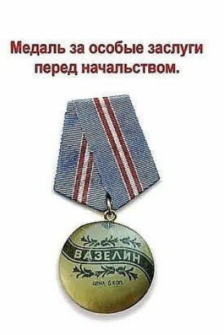 Медаль за особые заслуги перед начальством