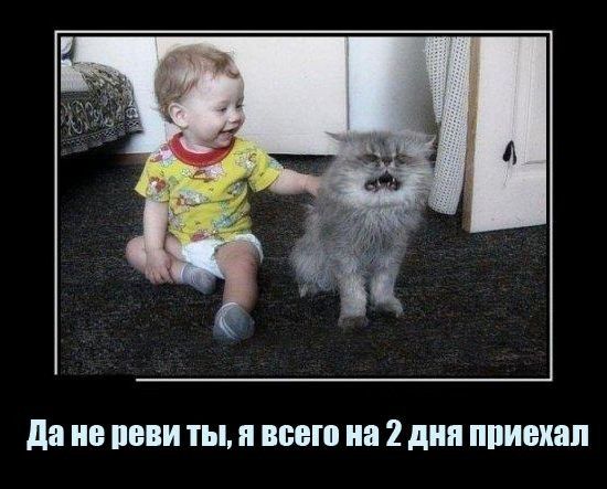 да ШШИ ты п всего 2 дня приехал