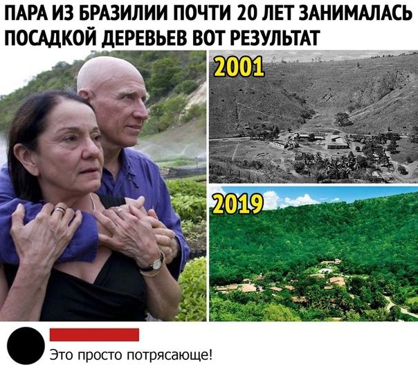 ПАРА ИЗ БРАЗИЛИИ ПОЧТИ 20 ЛЕТ ЗАНИМАЛАСЬ ПОСАДКОЙ дЕРЕВЬЕВ ВОТ РЕЗУЛЬТАТ Это просто потрясающе