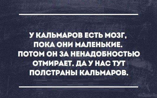 У КАЛЬМАРОВ ЕСТЬ МОЗГ ПОКА ОНИ МАЛЕНЬКИЕ ПОТОМ ОН ЗА НЕНАДОБНОСТЫО ОТМИРАЕТ ПАУ НАО ТУТ ПОЛОТРАНЫ КАПЬМАРОВ