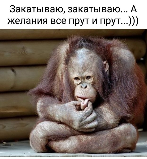 Закатываю закатываю А желания все прут и прут