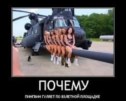 почвму