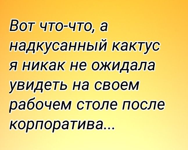 Вот что что а надкусанный кактус я никак не ожидала увидеть на своем рабочем столе после корпоратива