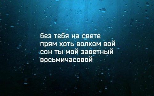 без тебя на свете прям хоть волком вай сан ты мой заветный восьмичаспвой