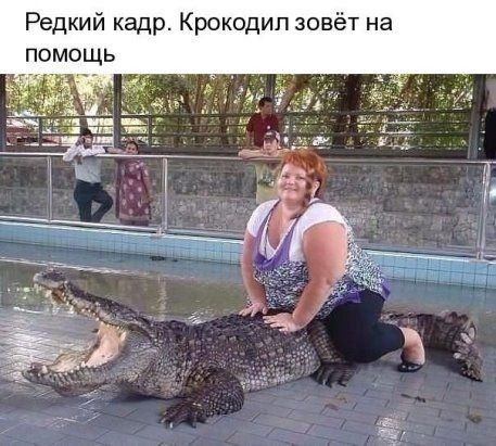 Редкий кадр Крокодил зовёт на помощь 151