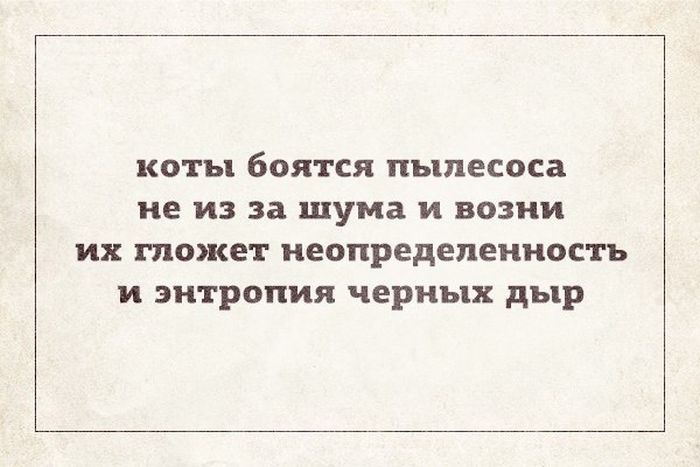 коты боятся пылесоса не из за шума и возни их может неопределенность и энтропия черных дыр
