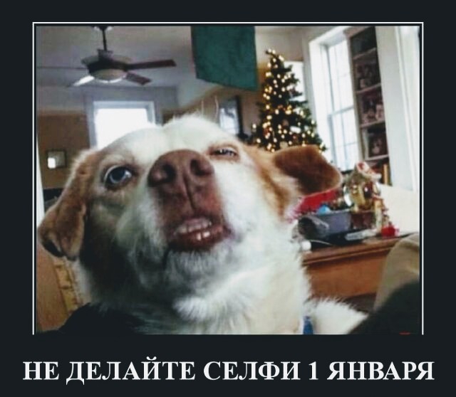 НЕ ДЕЛАЙТЕ СЕЛФИ 1 ЯНВАРЯ