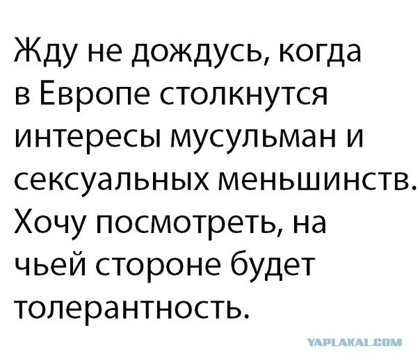 Жду не дождусь когда в Европе столкнутся интересы мусульман и сексуальных меньшинств Хочу посмотреть на чьей стороне будет толерантность