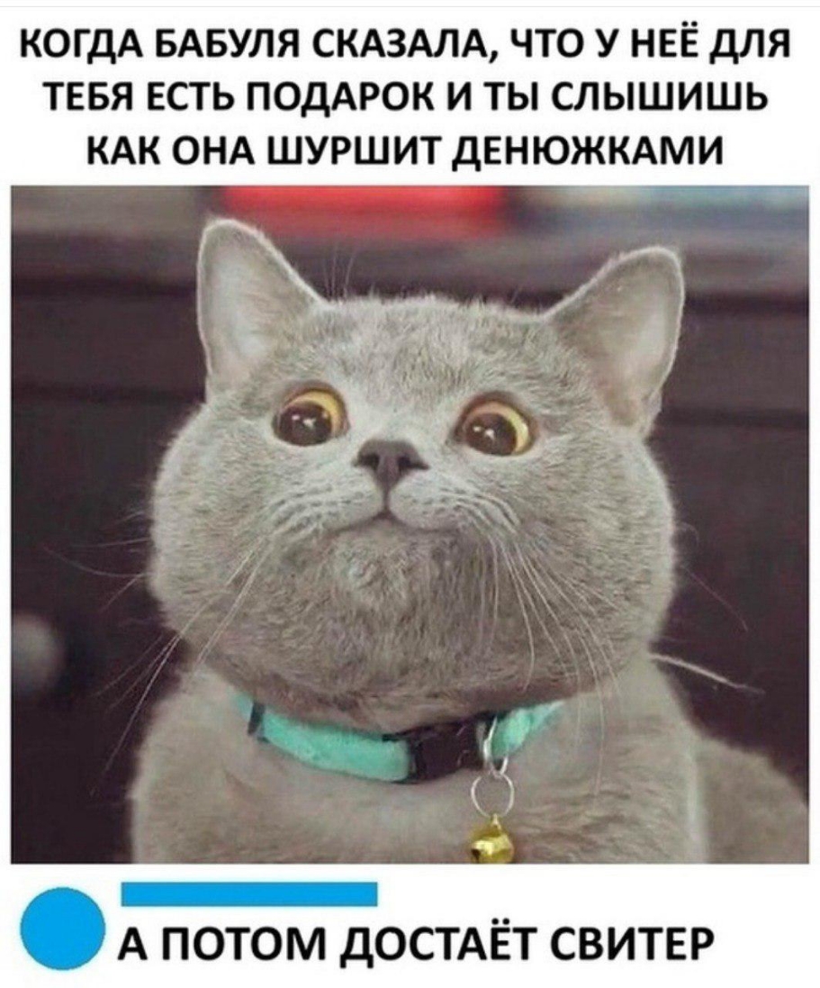 КОГДА БАБУЛЯ СКАЗАЛА ЧТО У НЕЁ дЛЯ ТЕБЯ ЕСТЬ ПОДАРОК И ТЫ СЛЫШИШЬ КАК ОНА ШУРШИТ дЕНЮЖКАМИ А потом достдёт свитер