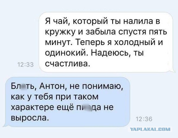 Я чай который ты налила в кружку и забыла спустя пять минут Теперь я холодный и одинокий Надеюсь ты счастлива Блять Антон не понимаю как у тебя при таком характере ещё пу ца не выросла