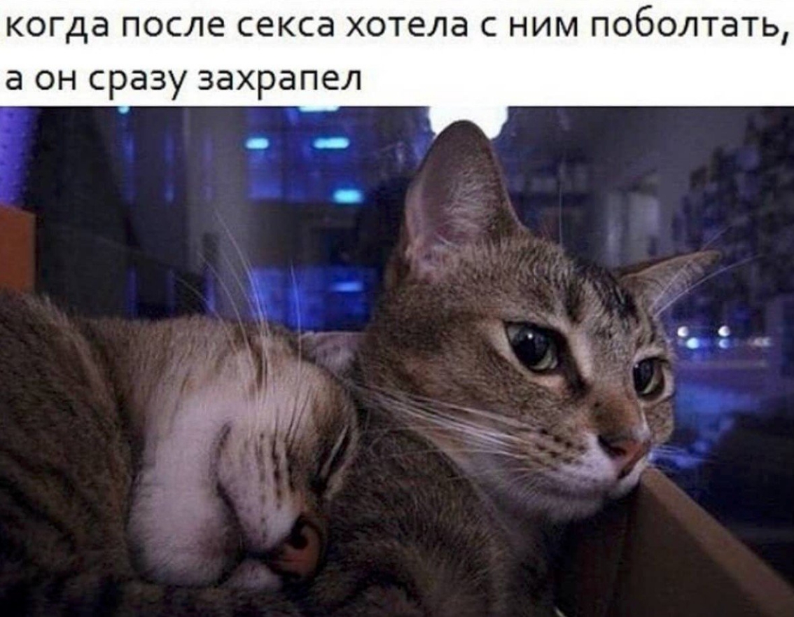 когда после секса хотела с ним поболтать а он сразу захрапел