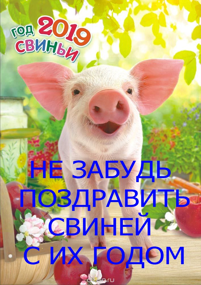 3 СМИ7 33 _УЕЁ ДР В _Ё Ё