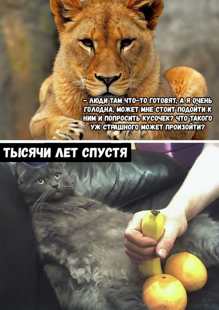 ГШШАНА МОЖЕТ МНЕ СТОИТ иимг И ПОПРОСИТЬ КУ00ЧЕК7