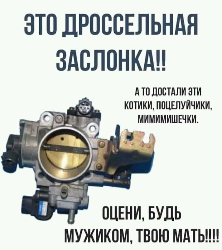 ЭТО ДРОВСЕЛЬНАЯ ЗАСЛОНКАН ТП дПЕТАЛИ ЭТИ КОТИКИ ППЦЕЛУЙЧИКИ МИМИМИШЕЧ КИ УЖИКОМ ТВОЮ МАТЬ