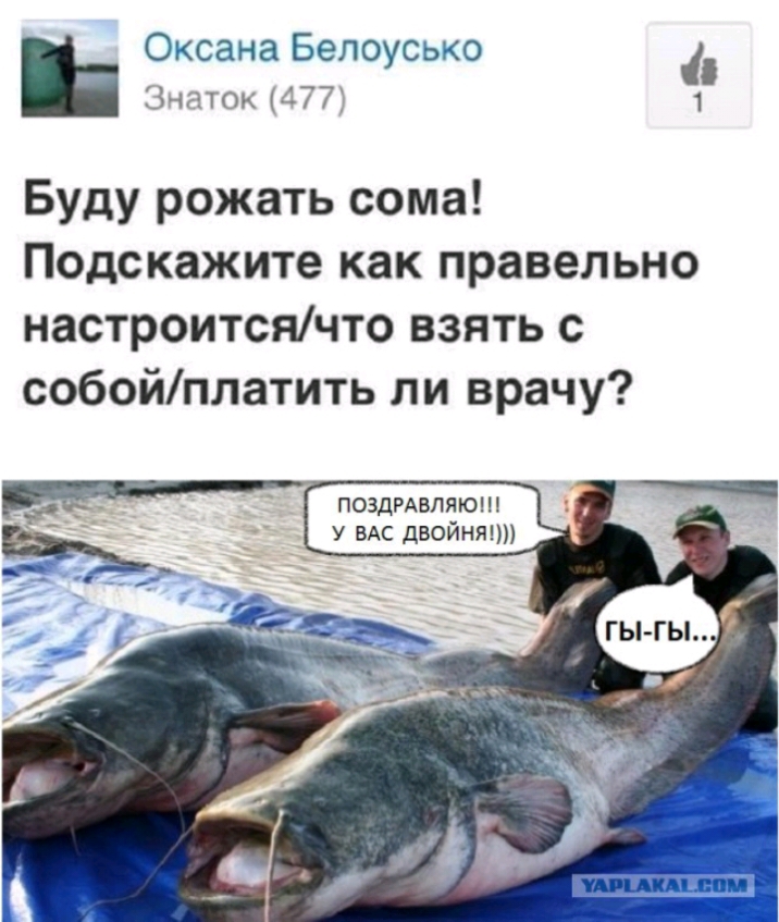 Оксана Белоусько Знаток 477 1 Буду рожать сома Подскажите как правельно настроитсячто взять с собойплатить ли врачу