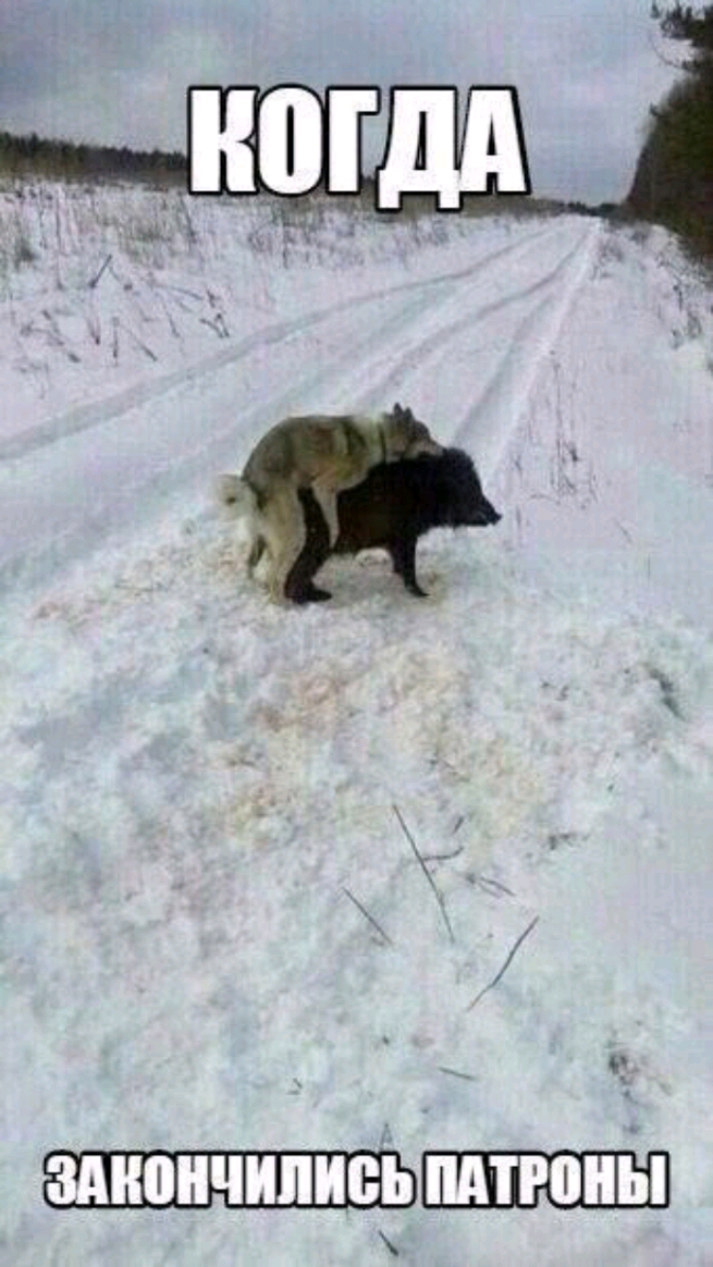 ЗМЮНЧПШЮЪ МТРОПЫ