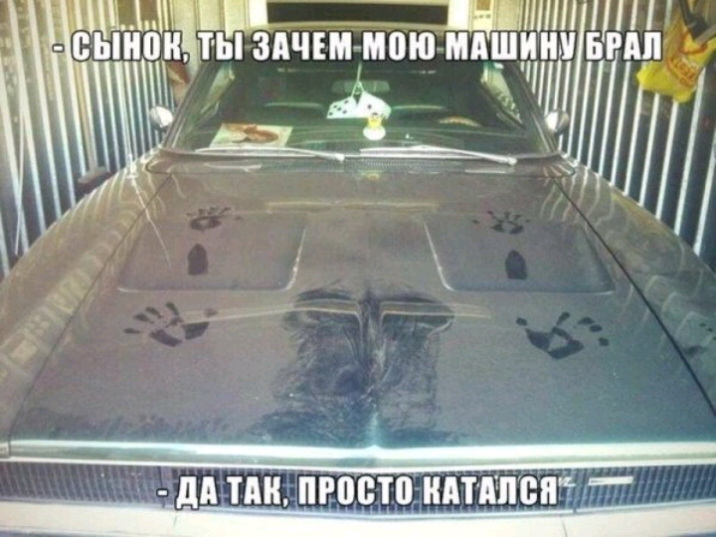 ть_ мою мдшин 77773
