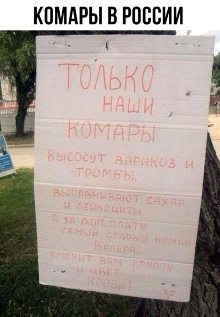 КОМАРЫ В РОССИИ