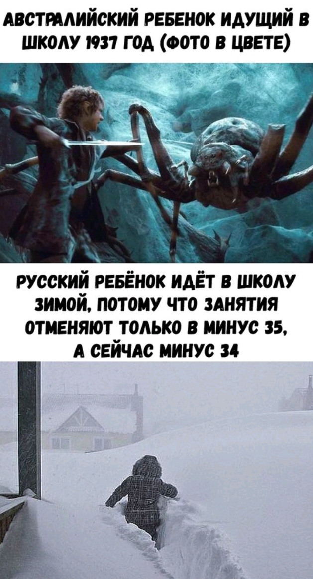 Австрмийский рвввнок идущий в школу тт год ФОТО в цвет Р чч РУССКИЙ РЕБЁНОК идёт в школу зимой потому что Анятия отменяют только в минус 35 А сейчдс минус 34