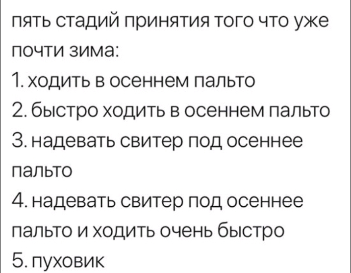 пять стадий принятия того что уже почти зима 1 ходить в осеннем пальто 2 быстро ходить в осеннем пальто З надевать свитер под осеннее пальто 4 надевать свитер под осеннее пальто и ходить очень быстро 5 пуховик