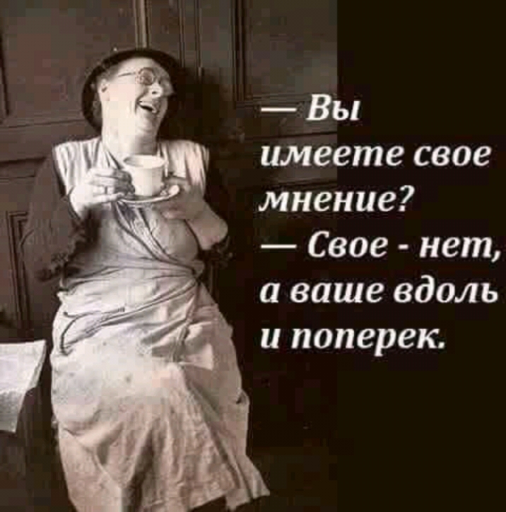 Вы имеете свое мнение Свое нет и ваше вдоль и поперек