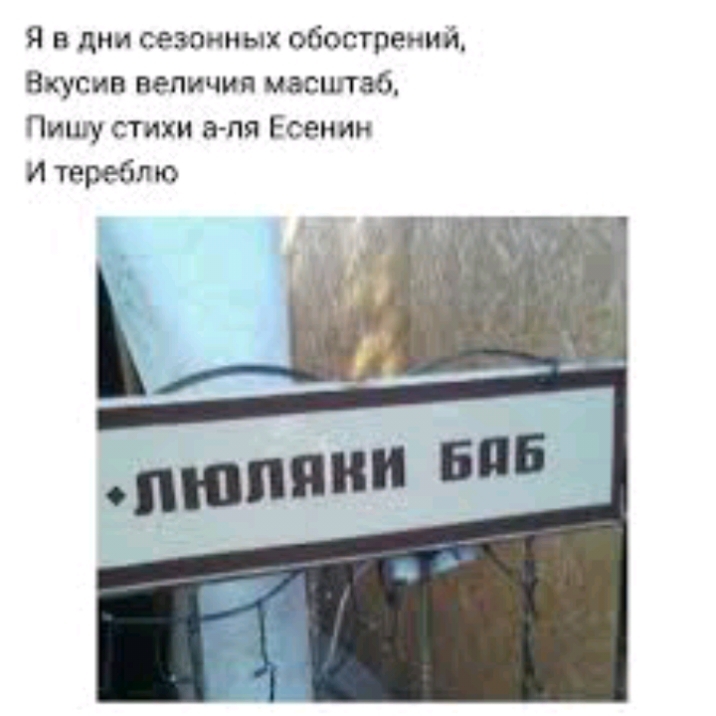 Я в дни сезонных обострений Вкусив величия масштаб Пишу стихи в пя Есенин и тереблю