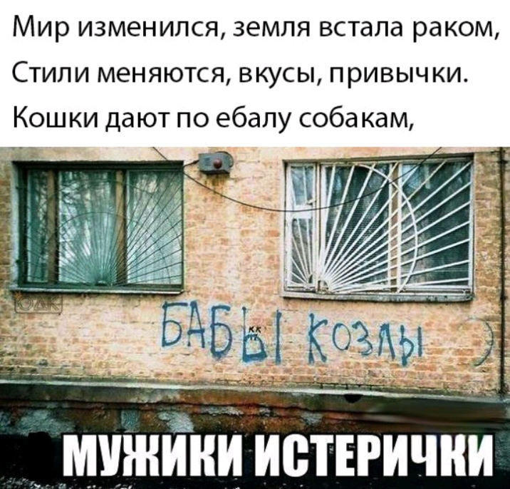 Мир изменился земля встала раком Стили меняются вкусы привычки Кош ки дают по ебапу соба кам мижіЁнй Иствгични