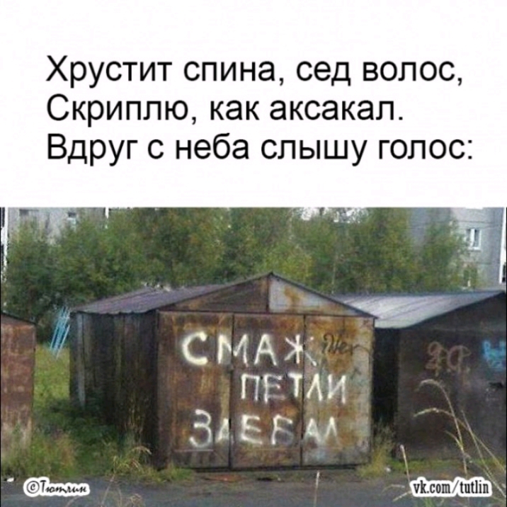 Хрустит спина сед волос Скриплю как аксакал Вдруг с неба слышу голос