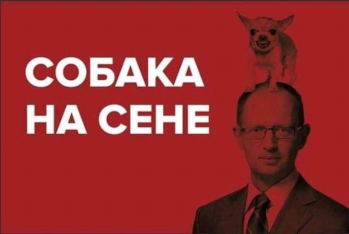 СОБАКА НА СЕНЕ