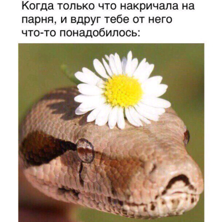 Когда только что накричала на парня и вдруг тебе от него что то понадобилось