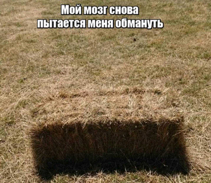 _