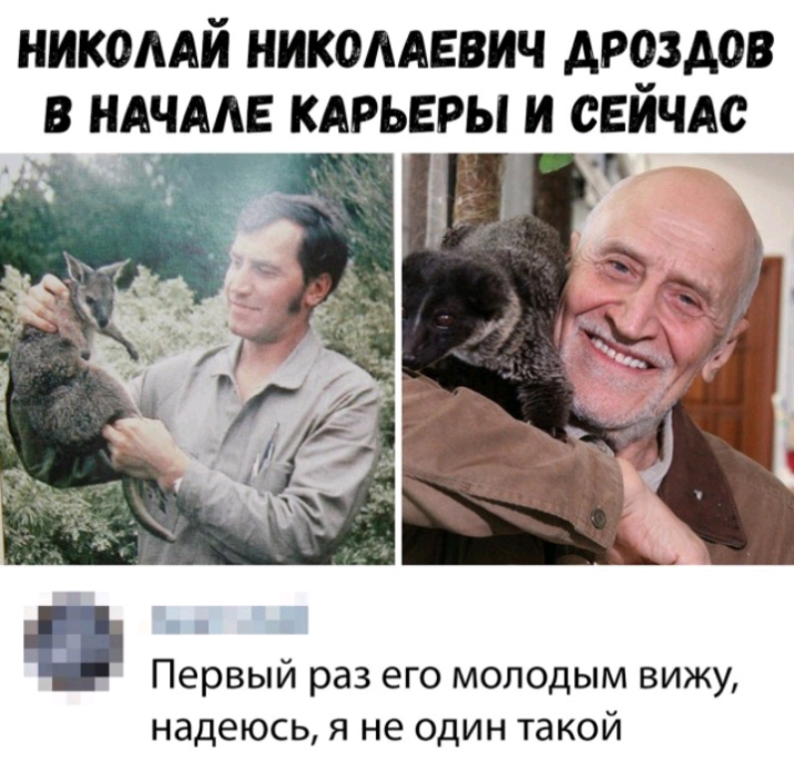 НИКОААЙ НИКОААЕВИЧ АРЧЗАОВ В НАЧАЛЕ КАРЬЕРЫ И СЕИЧАС Первый раз его молодым вижу надеюсь я не один такой