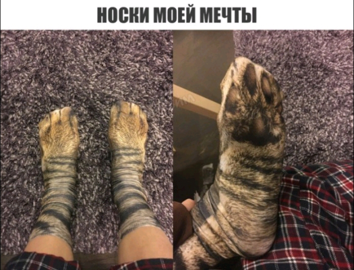 ы и Е м и Е 0 м и и с 0