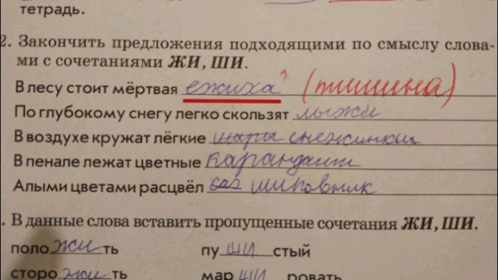 тетрадь Закончить предложения подходящими по смыслу слова ми с сочетаниями ЖИ шит Впесу стоит мёртвая о с шііціанаі По глубокому снегу легко скользят _ В юздухе кружат лёгкие И и В пвнапе лежат цветные 414 Апыми цветами расцвёл В е слою вешать пропущенные сочетания ЖИ ШП пущиный ть мав ШМ пинать