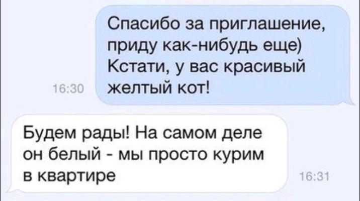 Спасибо за приглашение приду как нибудь еще Кстати у вас красивый желтый кот Будем рады На самом деле он белый мы просто курим в квартире