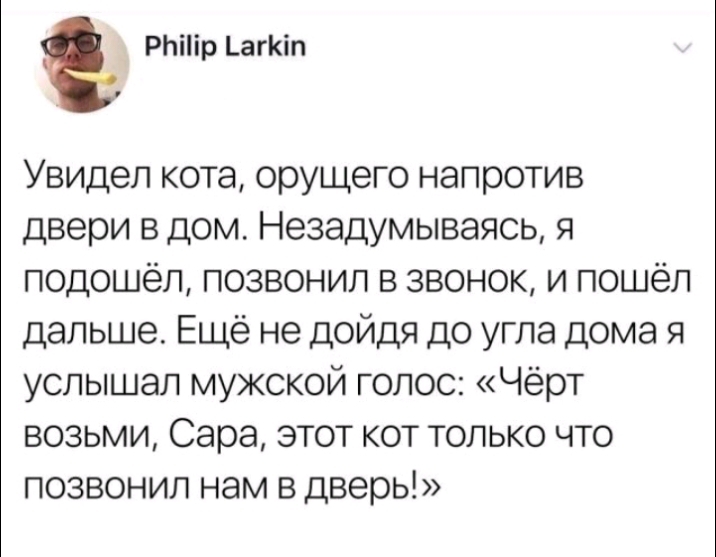 РЬііір _агіп Увидел кота орущего напротив двери в дом Незадумываясь я подошёл позвонил в звонок и пошёл дальше Ещё не дойдя до угла дома я услышал мужской голос Чёрт возьми Сара этот кот только что позвонил нам в дверь