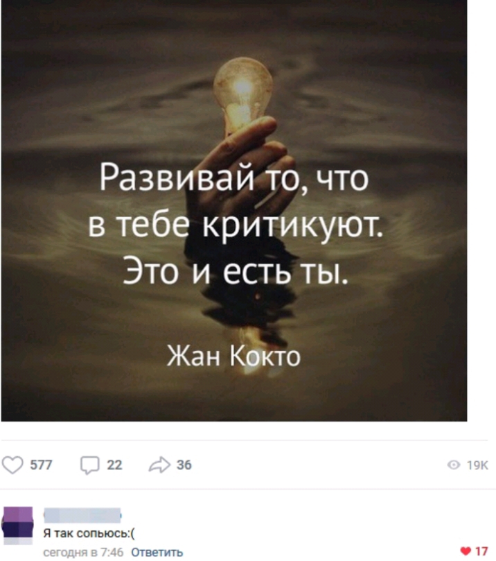 Развивай то что в тебе критикуют Это и есть ты Жан Кокто 577 7 _ Я так сопыось