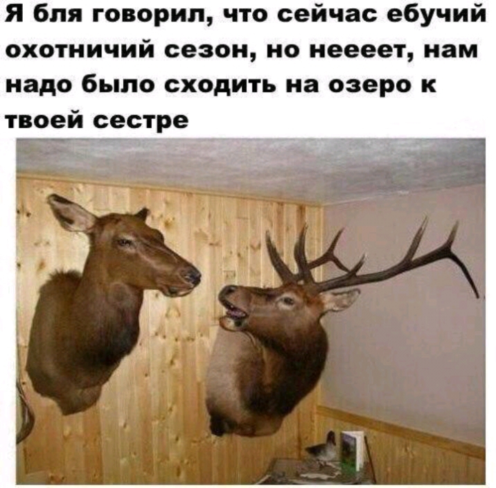 Я бля говорил что сейчас ебучий охотничий сезон но неееет нам надо было сходить на озеро к твоей сестре