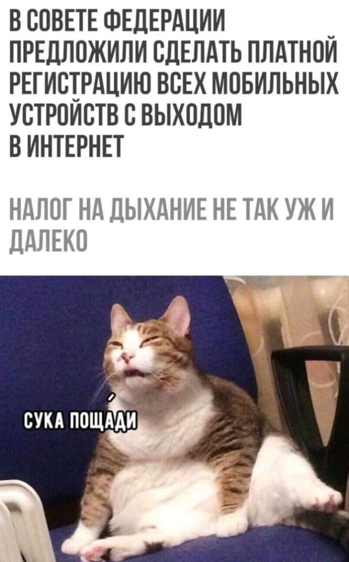 В СОВЕТЕ ФЕДЕРАЦИИ _ ПРЕДЛОЖИЛИ СДЕЛАТЬ ПЛАТНОИ РЕГИСТРАЦИЮ ВСЕХ МОБИЛЬНЫХ УСТРОИСТВ С ВЫХОДОМ В ИНТЕРНЕТ НДЛОГ Нд ДЫХАНИЕ НЕ ТАК УЖ И ддЛЕКО