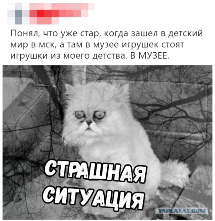 Понял что уже стар когда зашел в детский мир в мск а там в музее игрушек стоят игрушки из моего детства В МУЗЕЕ