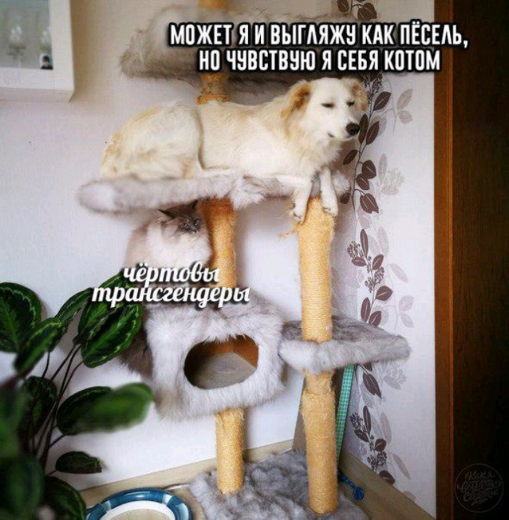 Т МПЖЕТЪЯ И ВЫГАЯЖН КАК ПЁВЕАЪ