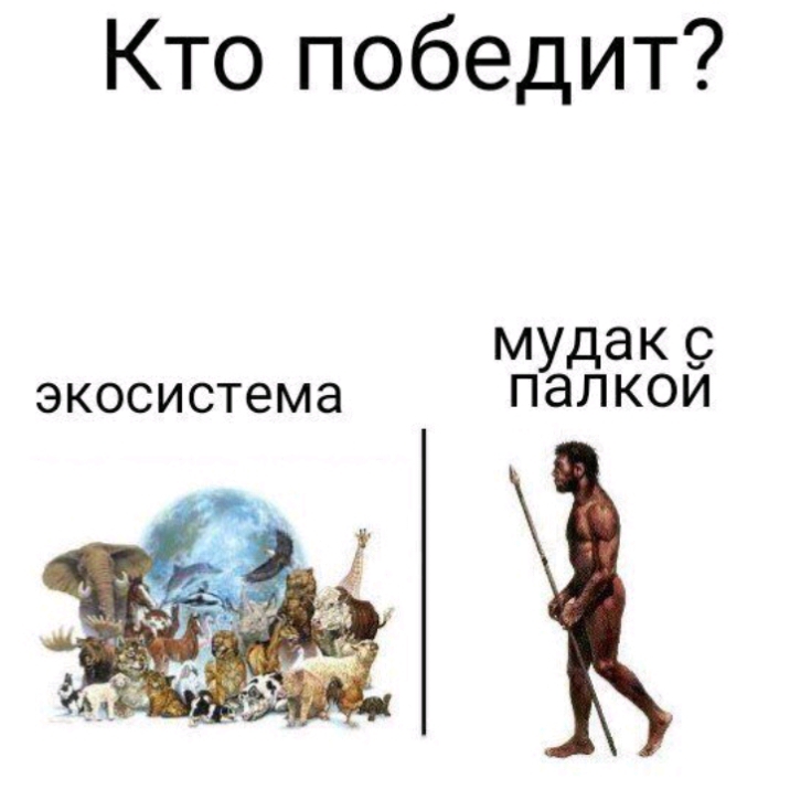 Кто победит