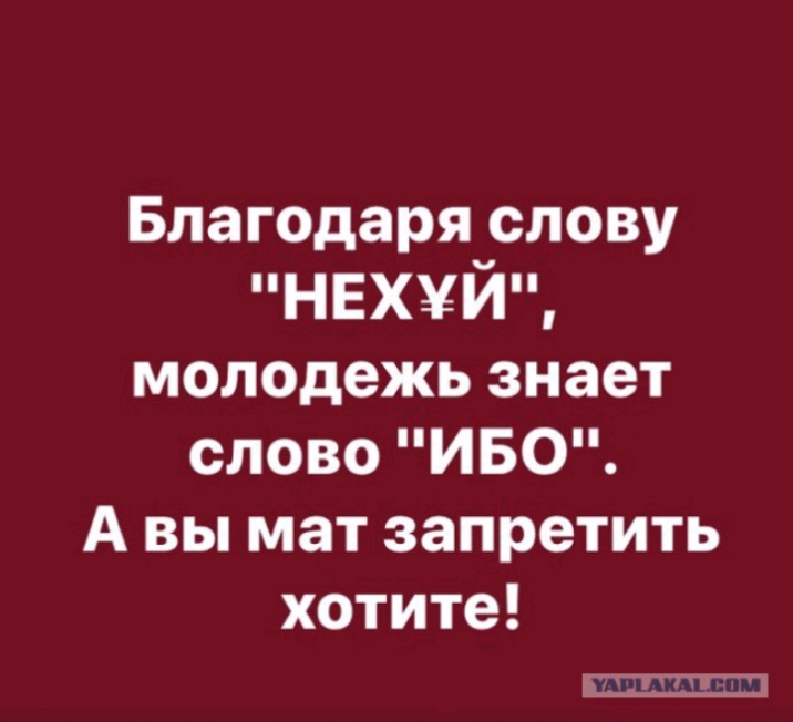 Благодаря слову нвхуйц молодежь знает слово ИБО А вы мат запретить хотите