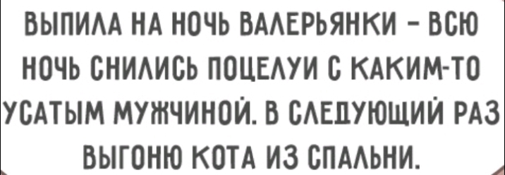 ВЫПИАА НА НОЧЬ ВААЕРЬЯНКИ ВСЮ НОЧЬ СНИАИСЬ ПОЦЕАУИ С КАКИМ ТО УСАТЫМ МУЖЧИНОЙ В БАЕПУЮЩИЙ РАЗ ВЫГОНЮ КОТА ИЗ СПААЬНИ