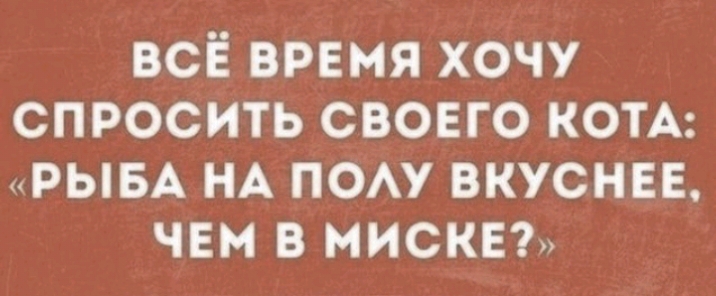 всё время хочу спросить своего КОТА РЫБА НА пом вкусные чем в миска