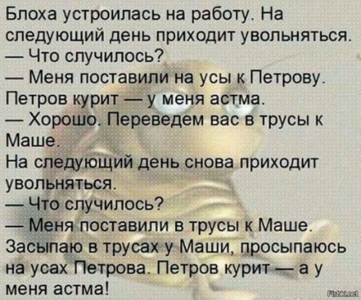 Блоха устроилась на работу На следующий день приходит увольняться Что случилось Меня поставили на усы к Петрову Петров курит у меня астма Хорошо Переведем вас в трусы к Маше На следуюший день снова приходит увольняться Что случилось _ _еняпоставили в трусы к Маше Засыпаю в трусах у Маши просыпаюсь на усах Петрова Петров курит_ а у меня астма т